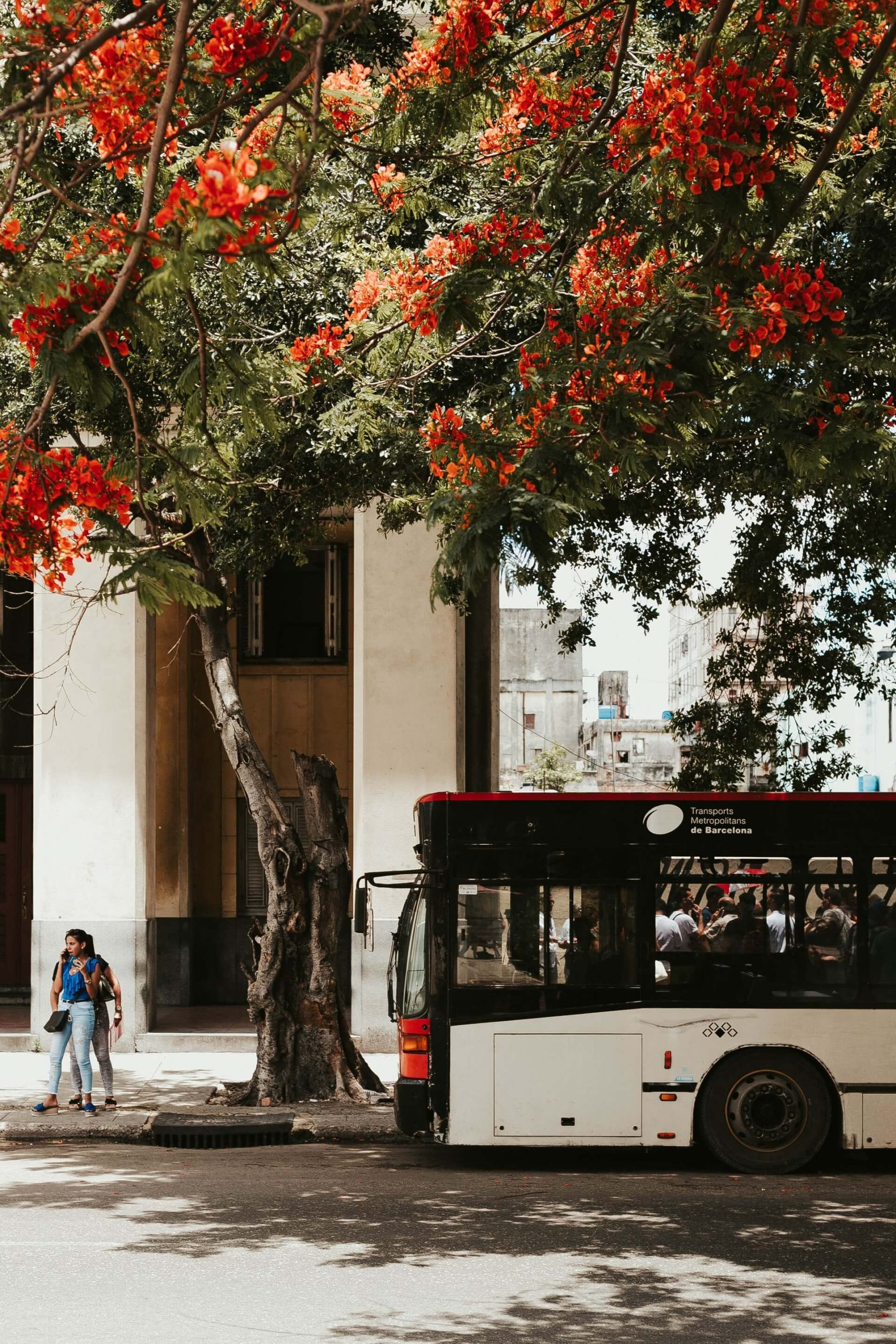 La ultima parada de bus