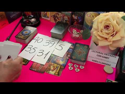 TAURO AMOR! MADRE MÍA! Qué pasó aquí  CAYENDO A FONDO! No te buscaba ni llamaba y ahora de repen