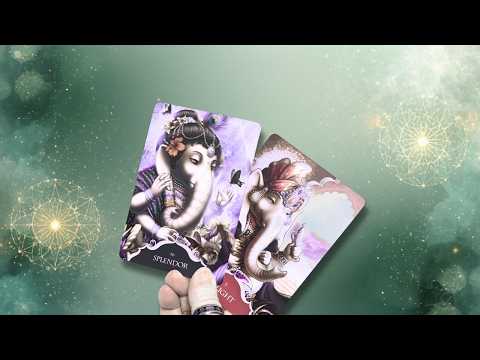 TAURO!  HE COMETIDO MUCHOS ERRORES Y ME DUELE HABERTE PERDIDO! TE IMPLORO QUE VUELVAS