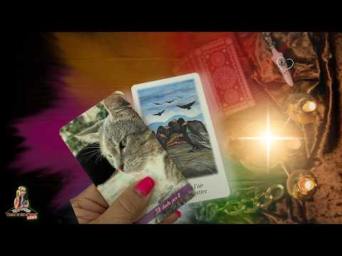 ESCORPIO! INSISTE!!! Está con alguien pero sintiéndose muy mal! Te compara  concluye que TE AMA!