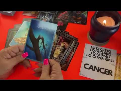 CÁNCER! Tendrá que suplicarte como tu lo hiciste antes! Mira lo que viene! esto es sorprendente!